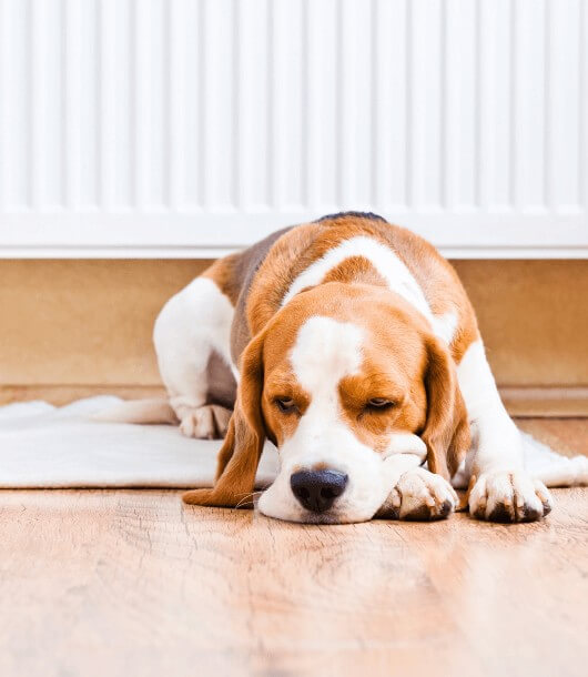 Read more about the article Air conditioning money-saving tips