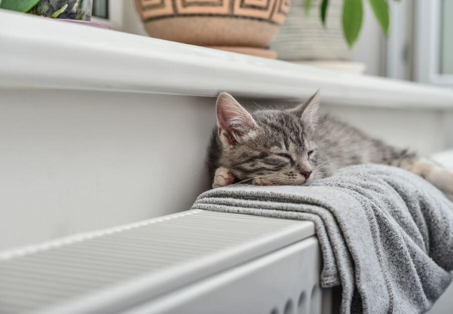 Read more about the article Households urged to use off-peak power during summer